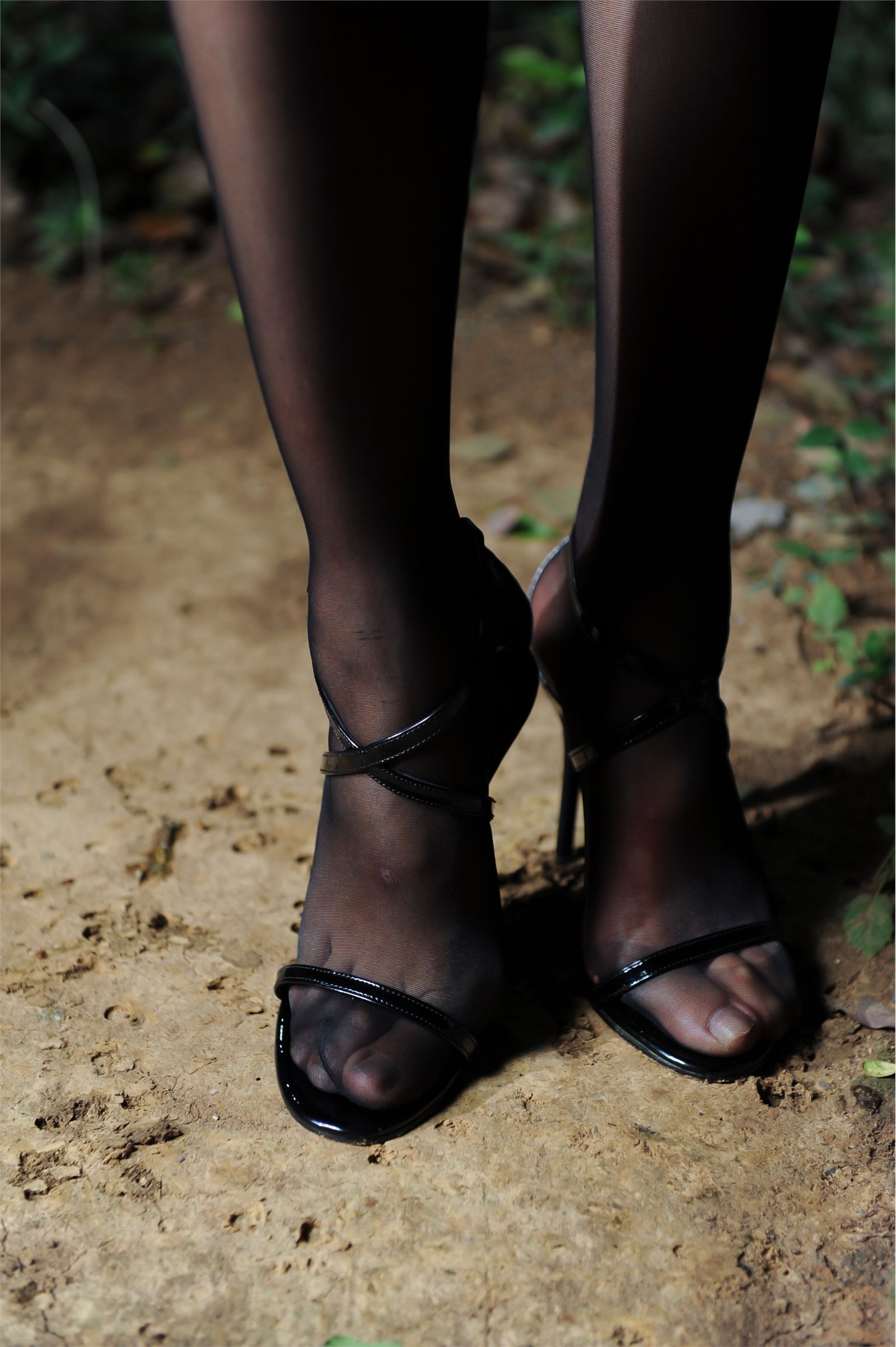 Vip NO.458 丝间舞 vip套图